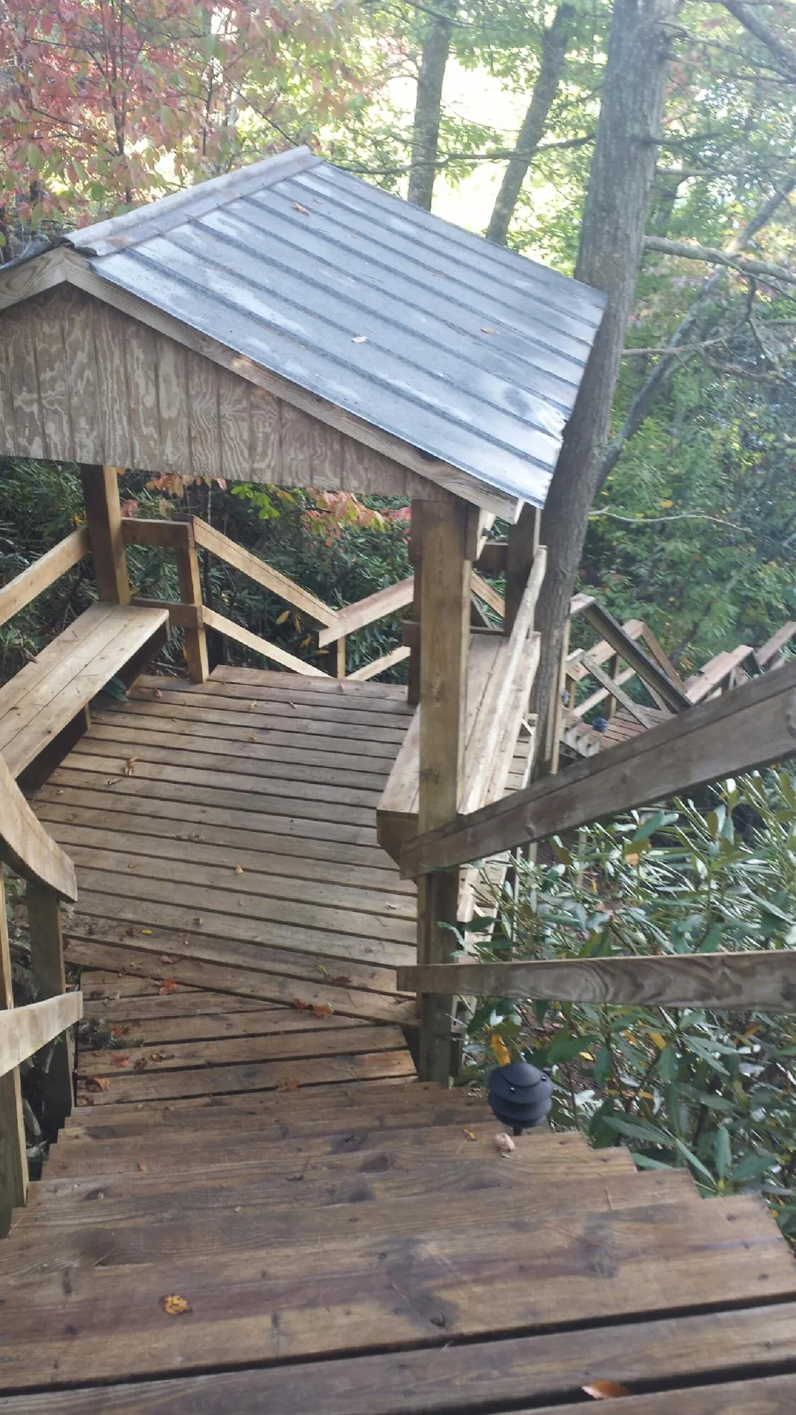 Metal roofed shelter over wooden steps on a wooded walkway — Skylight Repair & Installation work by our crew in Delavan